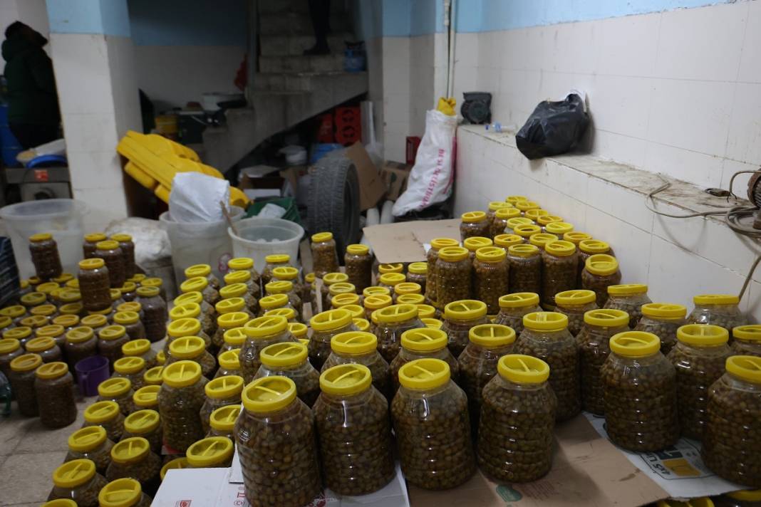 İnsan sağlığını ayaklar altına alan işletme! Yerlerde ölü fareler bulundu,   tarihi geçmiş ürünler tespit edildi 6